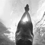 Acqua di Giò – The Film – Giorgio Armani